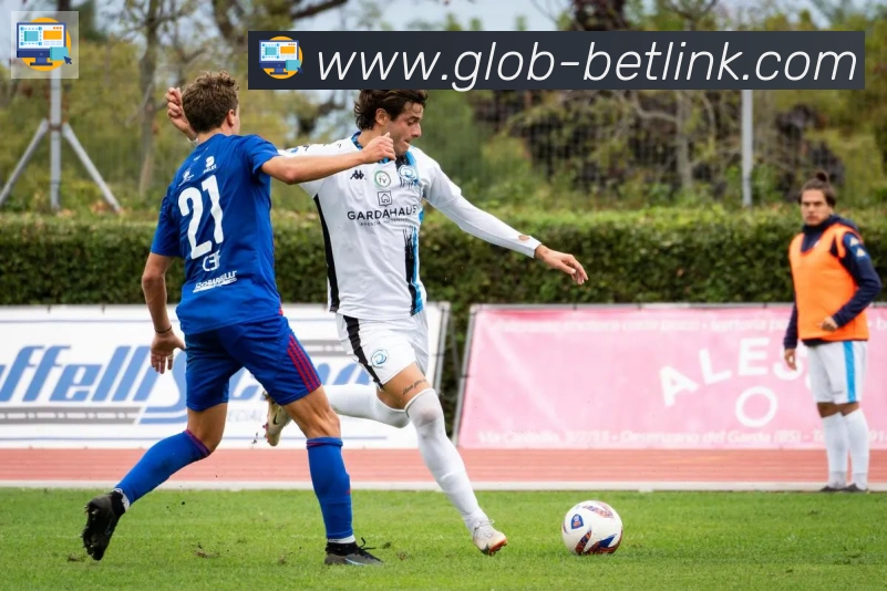 新葡京博彩官网荣誉