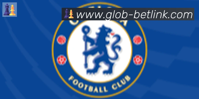 新葡京博彩官网合作伙伴